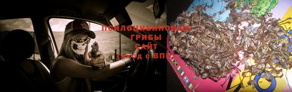 ALPHA PVP Алзамай